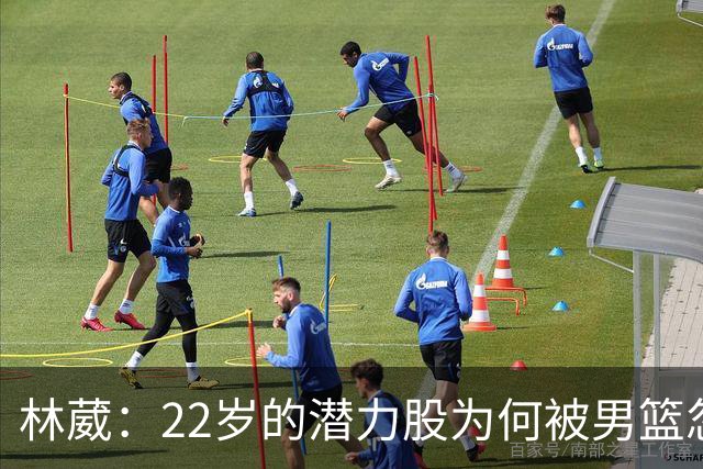 林葳：22岁的潜力股为何被男篮忽视？